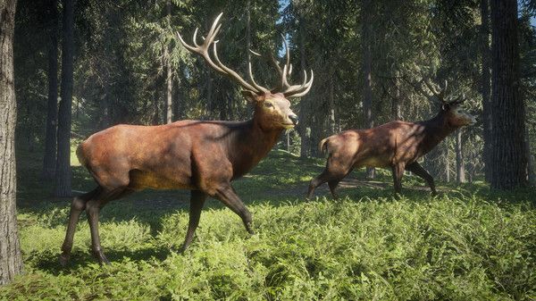 2 theHunter: Call of the Wild