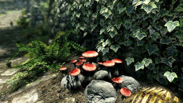ss_50c3da9e29e9b0368889379cdd03a71aba8d614c.600x338 The Elder Scrolls V: Skyrim Special Edition