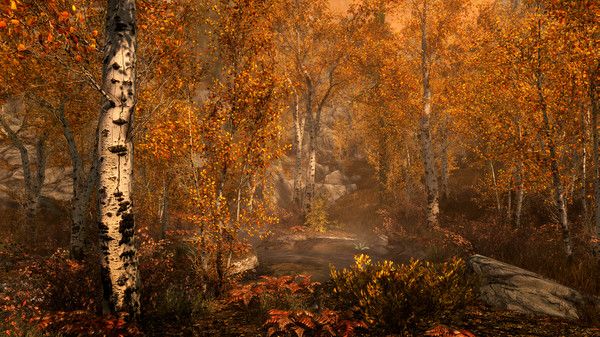 ss_b6bb6f79278505b3f48567f08c21f7a0eb171c68.600x338 The Elder Scrolls V: Skyrim Special Edition