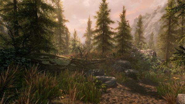 ss_f0f073a59827827ab32960ae280f178b4d89732b.600x338 The Elder Scrolls V: Skyrim Special Edition