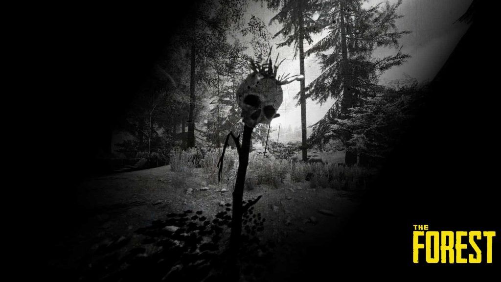 The forest