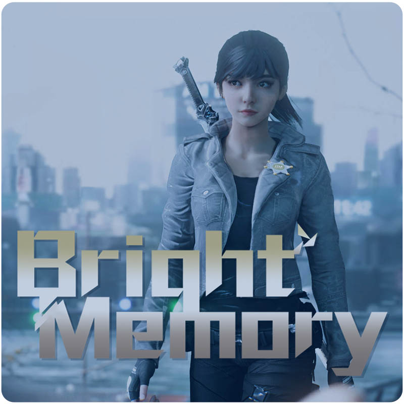 The One Bright Memory