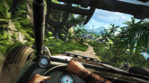 Far Cry 3 Far Cry 3