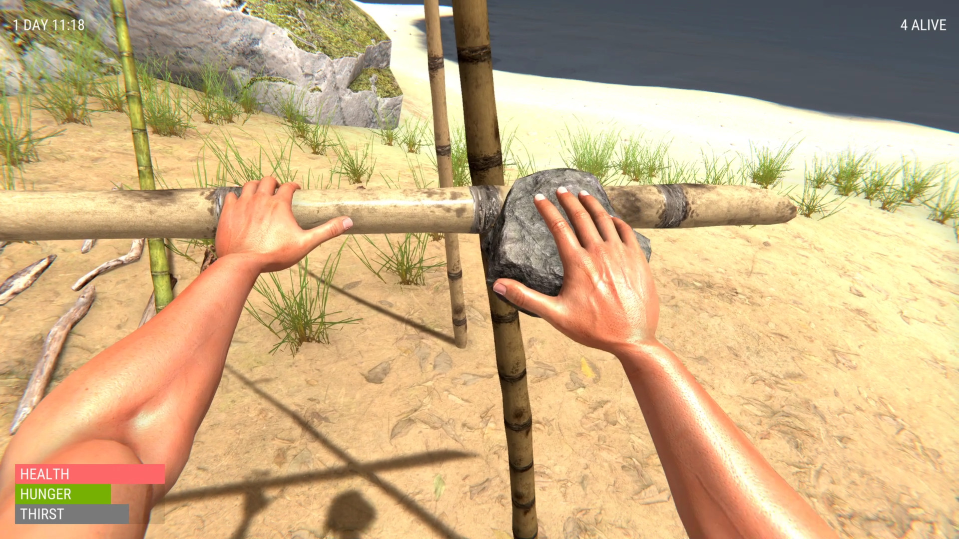 Hand Simulator Survival