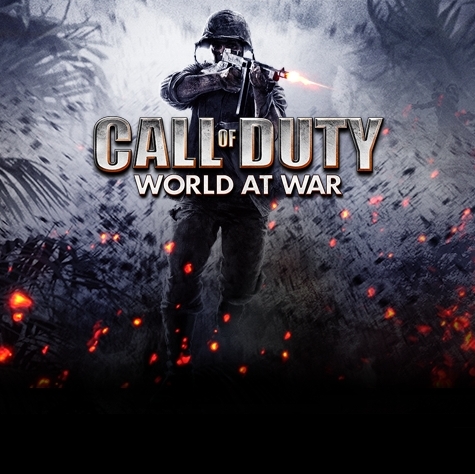 Call Of Duty World At War Call Of Duty World At War