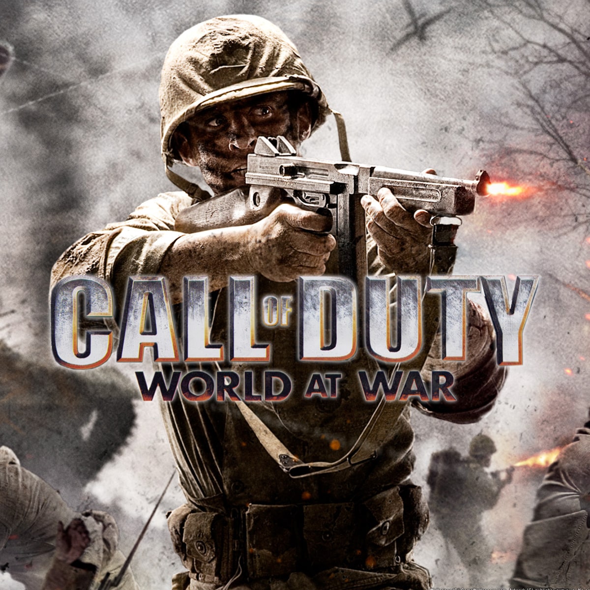 Call Of Duty World At War Call Of Duty World At War