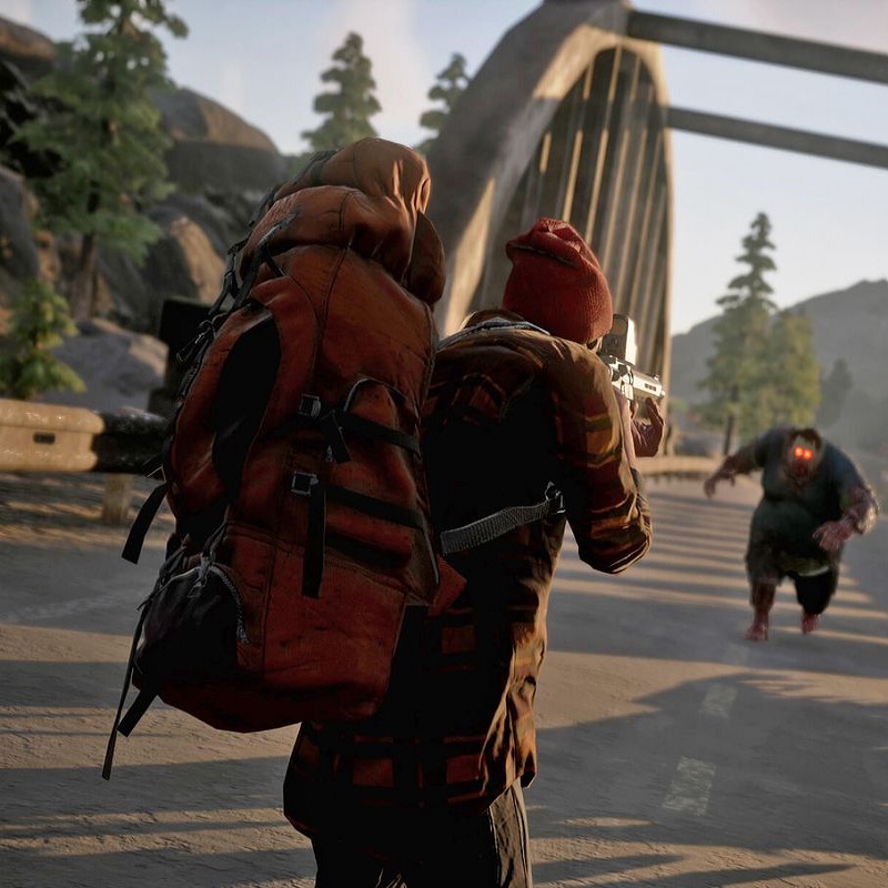 State Of Decay 2 State Of Decay 2