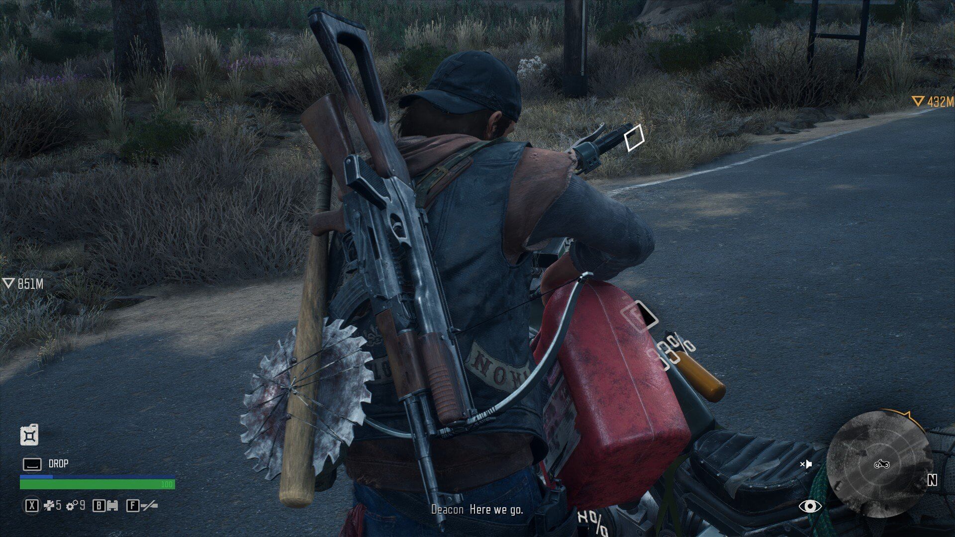 Days Gone