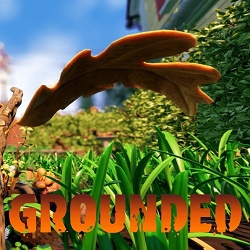 Grounded Grounded
